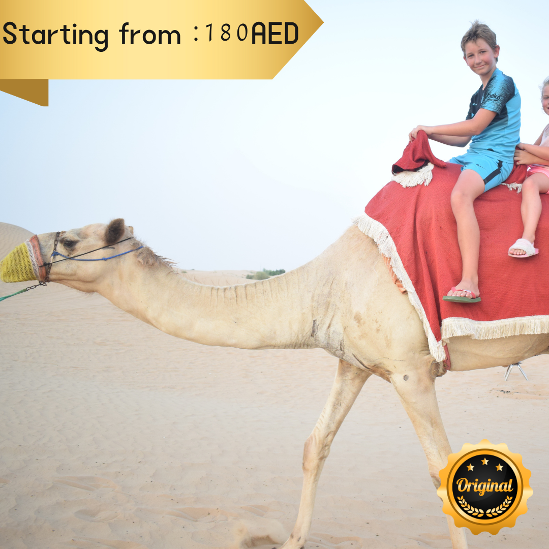 Morning Desert Safari With Camel Ride