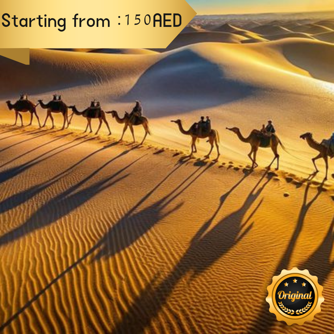 Morning Desert Safari